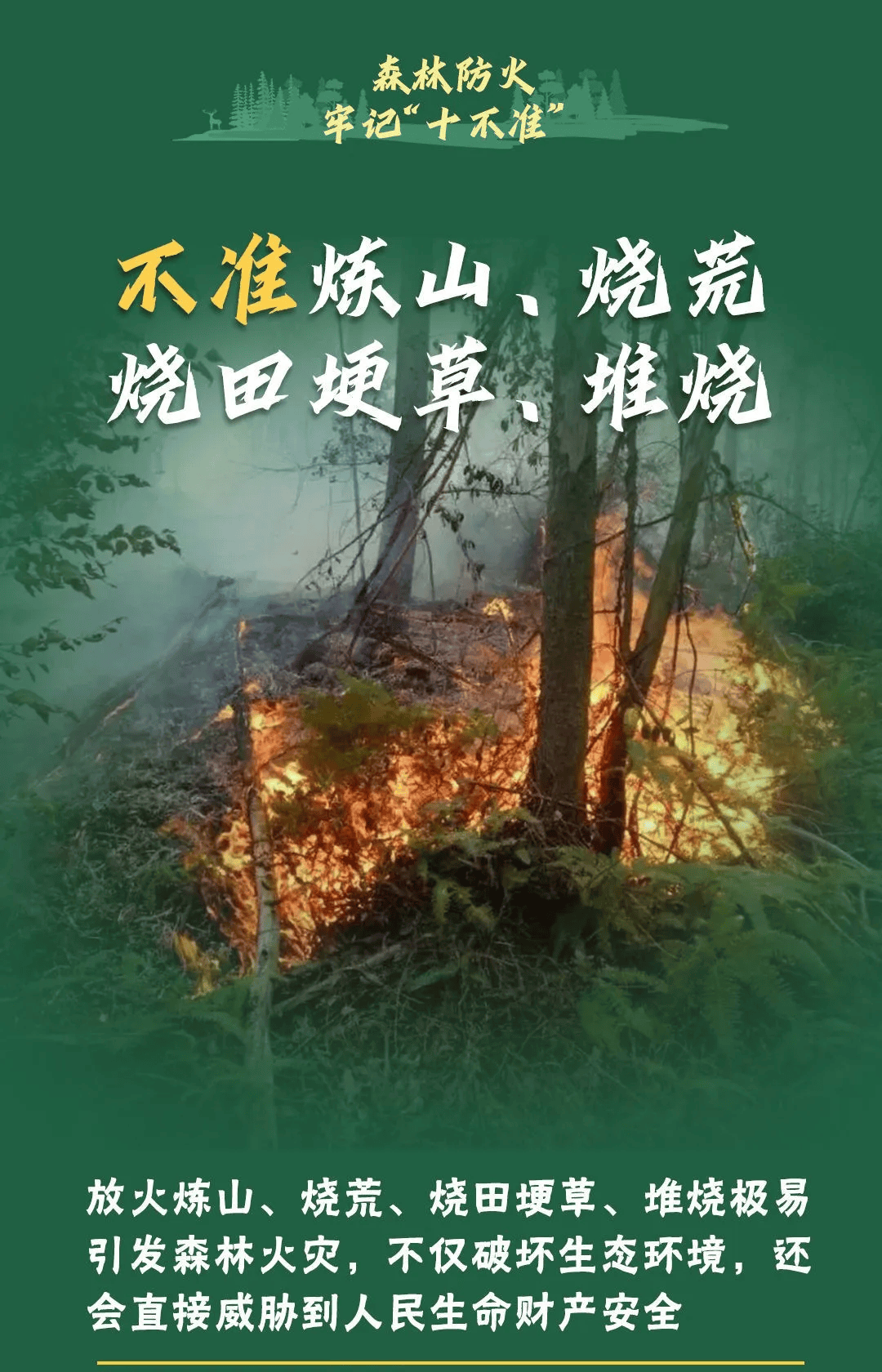 山火連發(fā)，原因公布！多地拉響紅色預(yù)警→