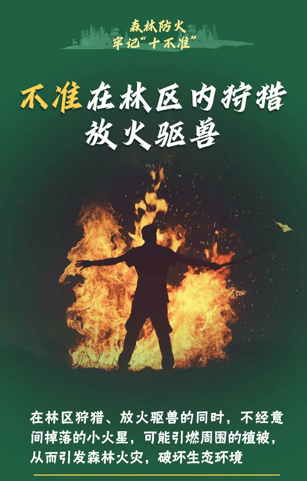 山火連發(fā)，原因公布！多地拉響紅色預(yù)警→
