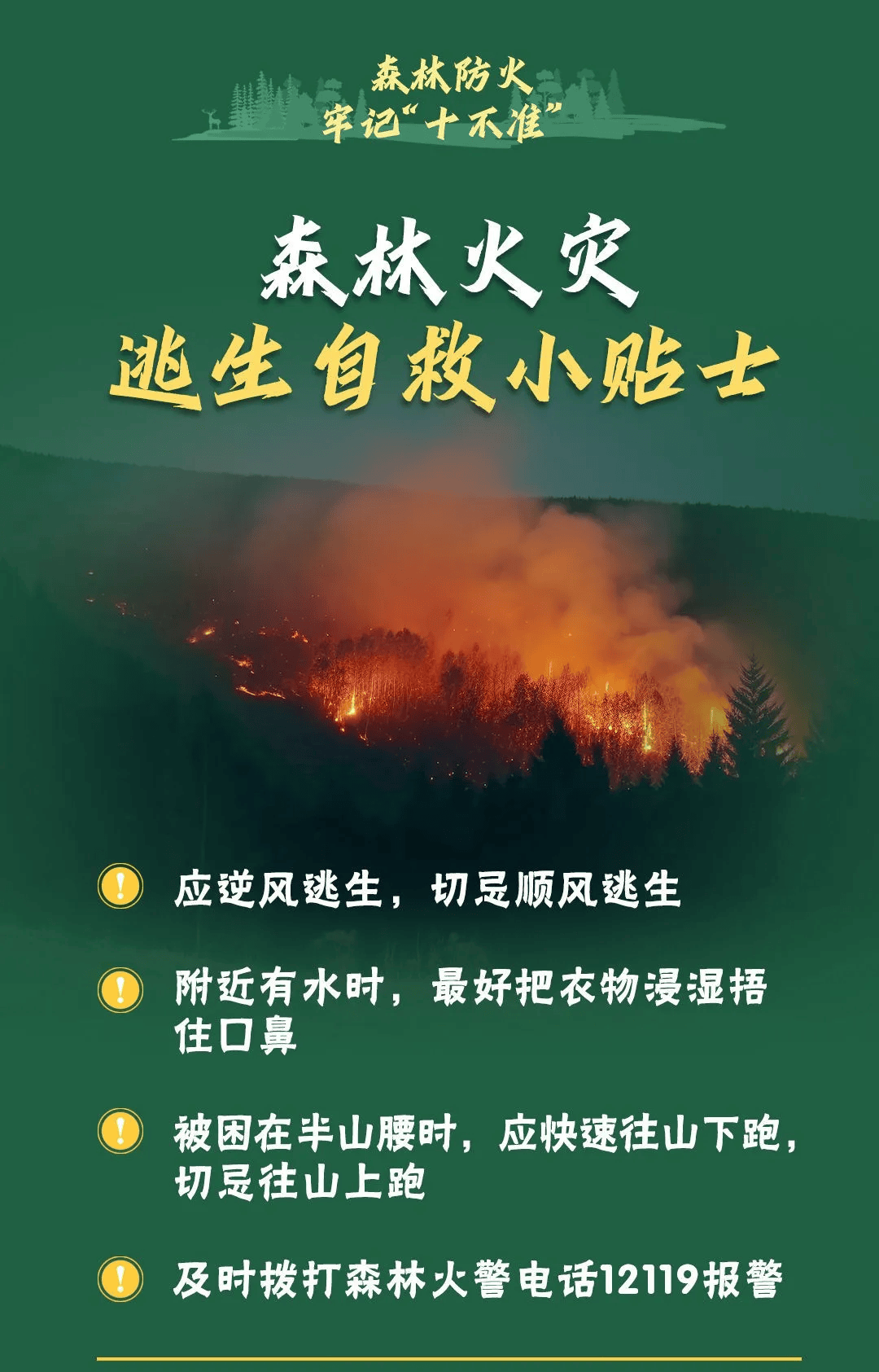 山火連發(fā)，原因公布！多地拉響紅色預(yù)警→