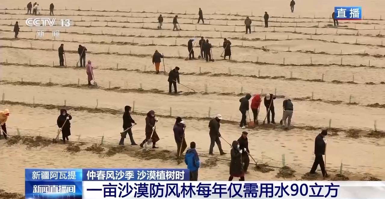 “鎖邊”→“擴邊” 塔克拉瑪干沙漠植樹造綠迎來新進展