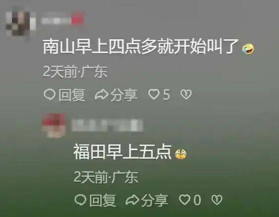 “周末想睡個懶覺都不行”，有多少深圳人被這種鳥吵到神經(jīng)衰弱