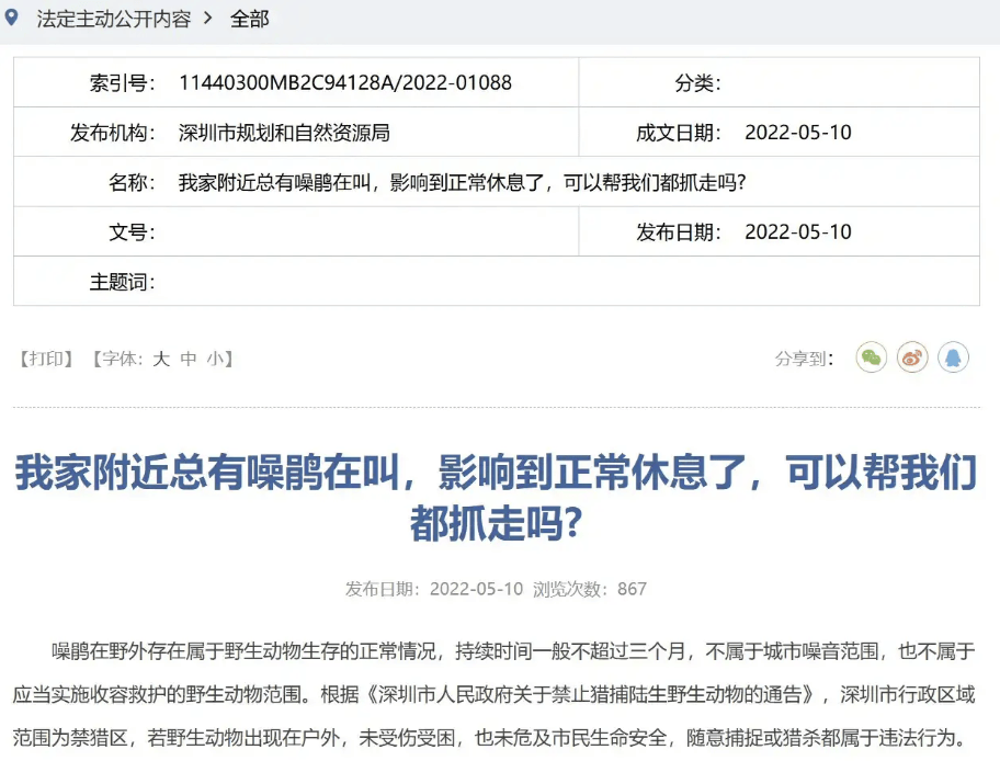 “周末想睡個懶覺都不行”，有多少深圳人被這種鳥吵到神經(jīng)衰弱