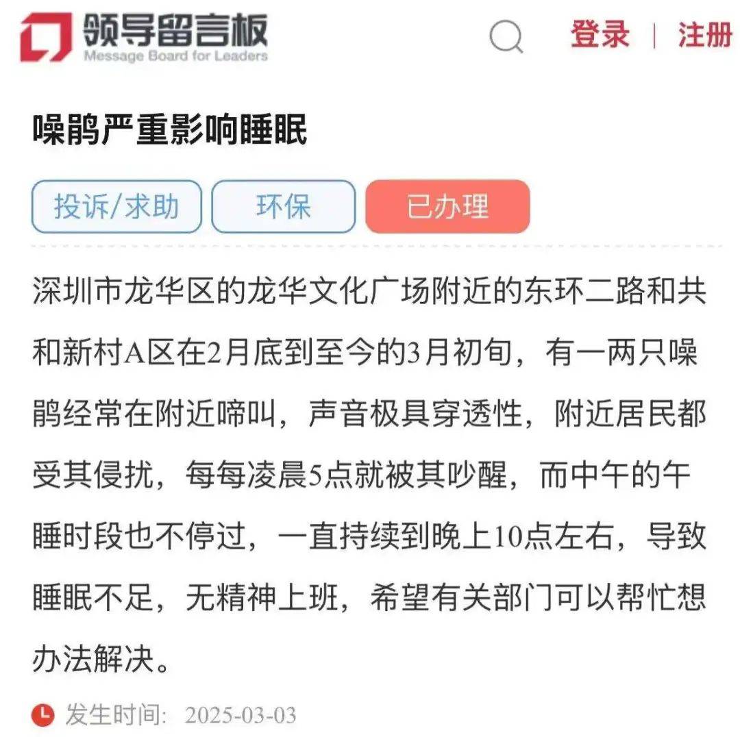 “周末想睡個懶覺都不行”，有多少深圳人被這種鳥吵到神經(jīng)衰弱