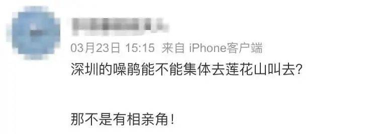 “周末想睡個懶覺都不行”，有多少深圳人被這種鳥吵到神經(jīng)衰弱