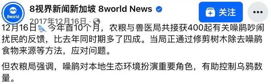 “周末想睡個懶覺都不行”，有多少深圳人被這種鳥吵到神經(jīng)衰弱