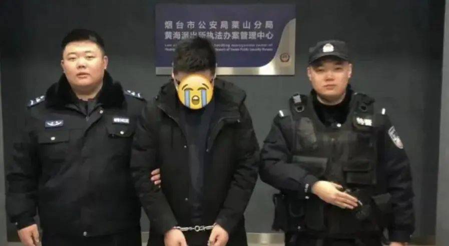 公安部：在校大學(xué)生胡某，被抓獲