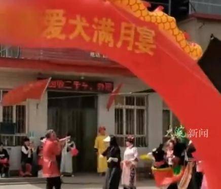 河北一店鋪給狗辦滿月宴引爭議，當事人：不是炒作，只是愛狗