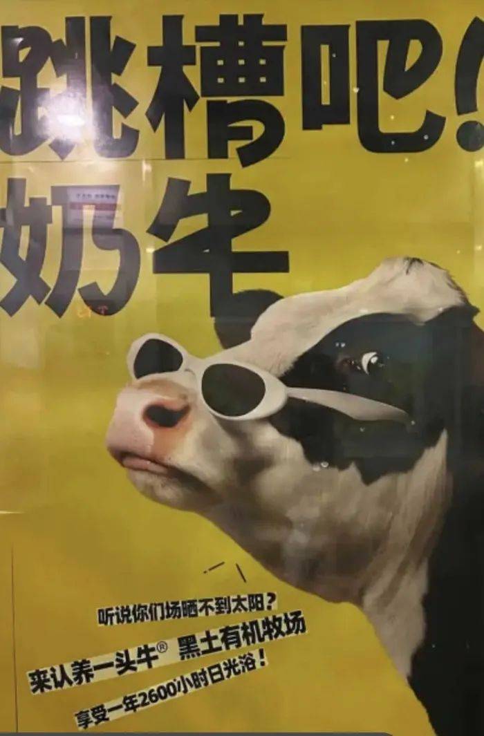 認(rèn)養(yǎng)一頭牛廣告被質(zhì)疑諷刺打工人，公司回應(yīng)：致敬BOSS直聘