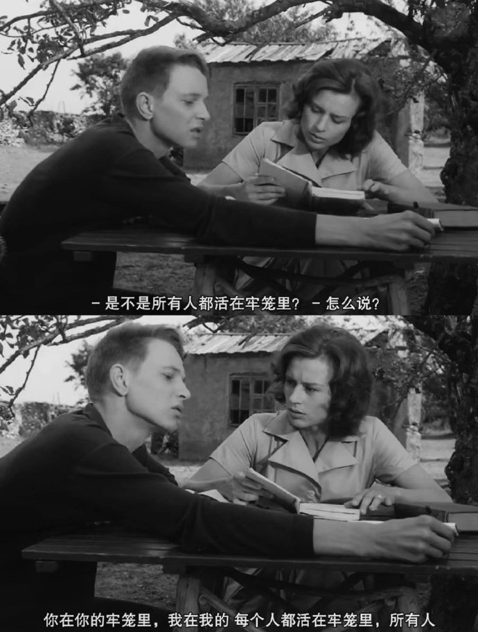 300起步的“縣城鳥”，被中產(chǎn)搶瘋了