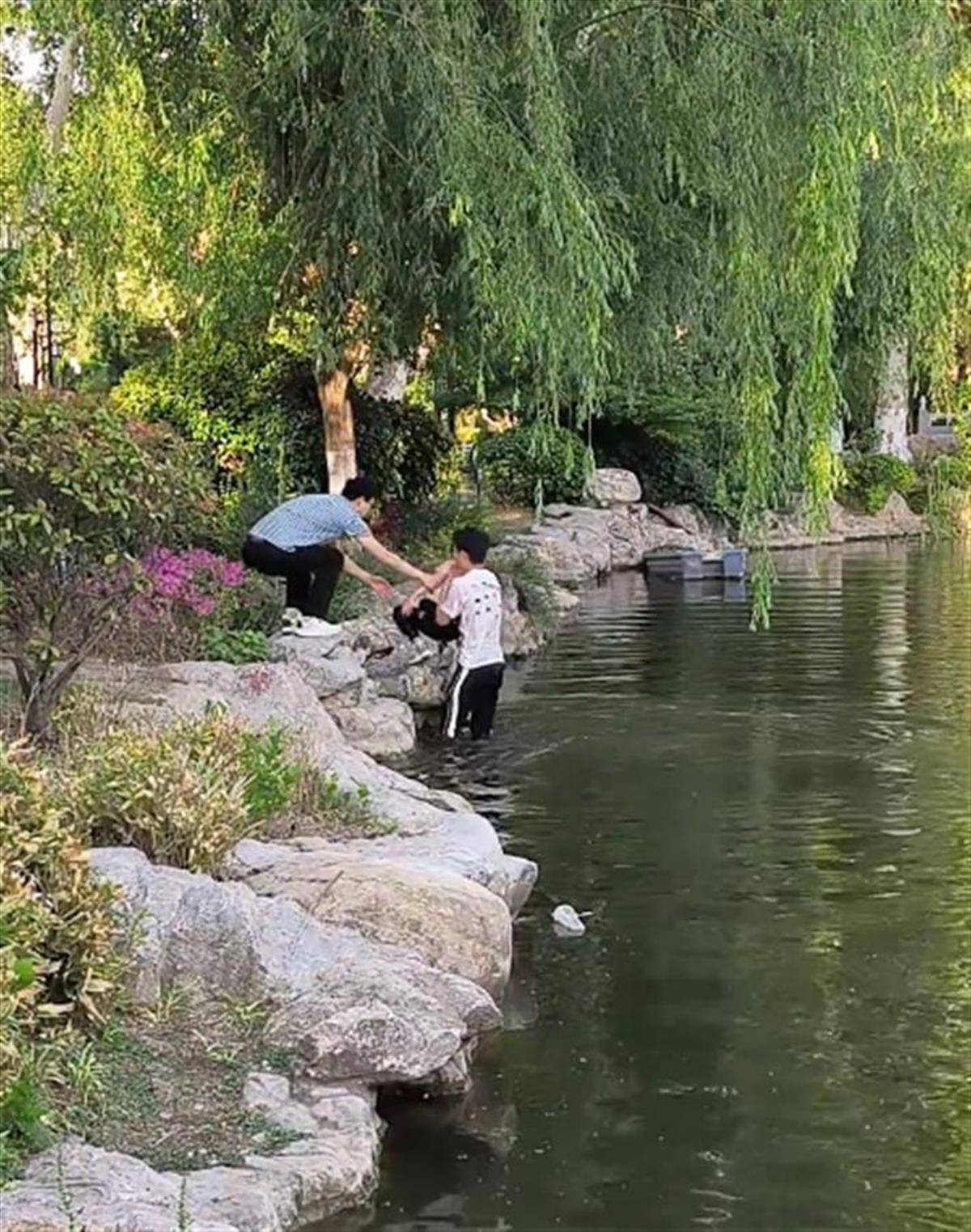 徐州一女童落水被救起，家長趕來先責(zé)怪孩子，救人者：家長當(dāng)時嚇壞了，后來已道謝