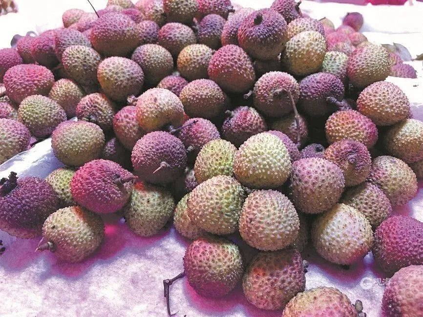 大跳水，暴跌40%！老板：一天一個(gè)價(jià)，估計(jì)還要跌