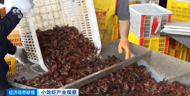 價格暴跌近50%！“接下來還會降”！青島正大量上市……