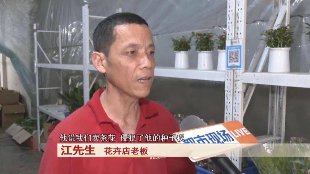 男子賣了三盆花，引來五萬索賠