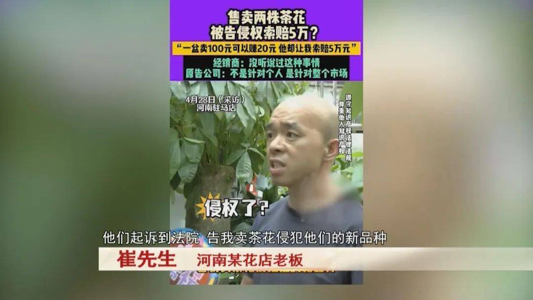 男子賣了三盆花，引來五萬索賠