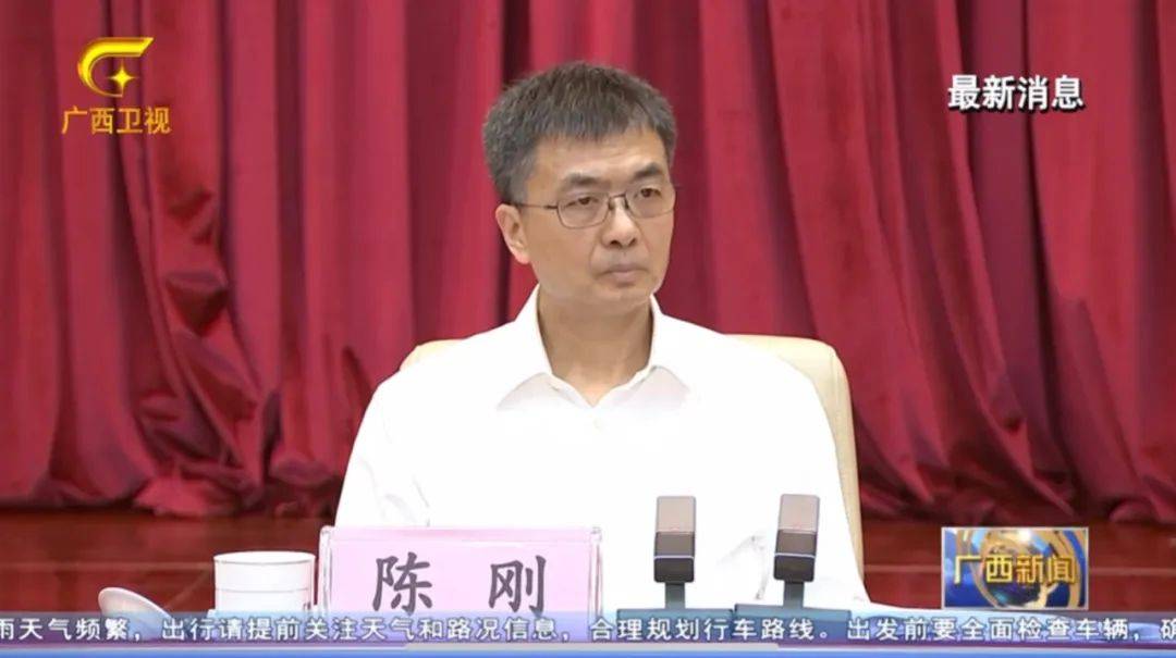 倒查十年！陳剛要求嚴(yán)肅追責(zé)，6位省部級(jí)任組長(zhǎng)