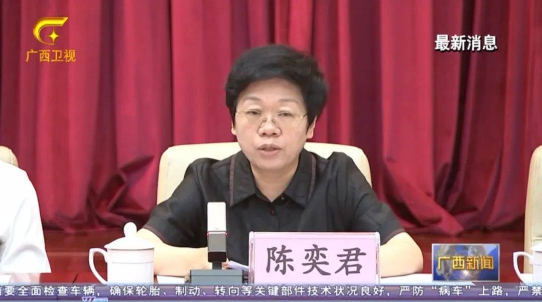 倒查十年！陳剛要求嚴(yán)肅追責(zé)，6位省部級(jí)任組長(zhǎng)
