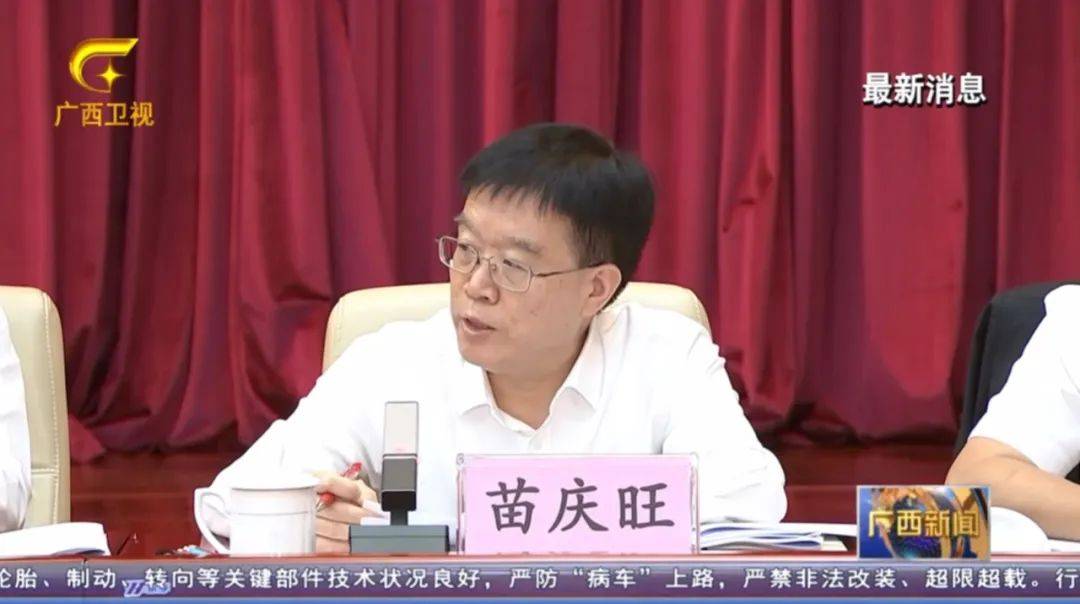 倒查十年！陳剛要求嚴(yán)肅追責(zé)，6位省部級(jí)任組長(zhǎng)