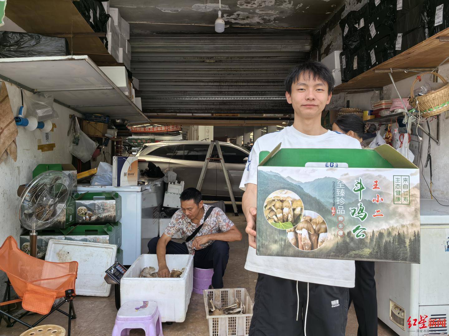 “天價”雞樅調(diào)查：最貴賣到1800元/公斤！雨水少致產(chǎn)量低，多地價高客少