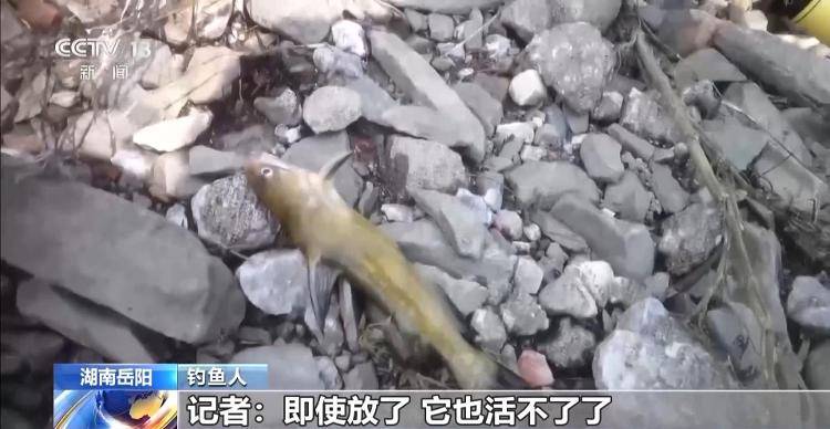 保護區(qū)里的“瘋狂垂釣”屢禁不止！記者調查