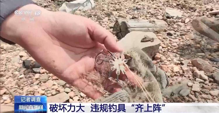 保護區(qū)里的“瘋狂垂釣”屢禁不止！記者調查