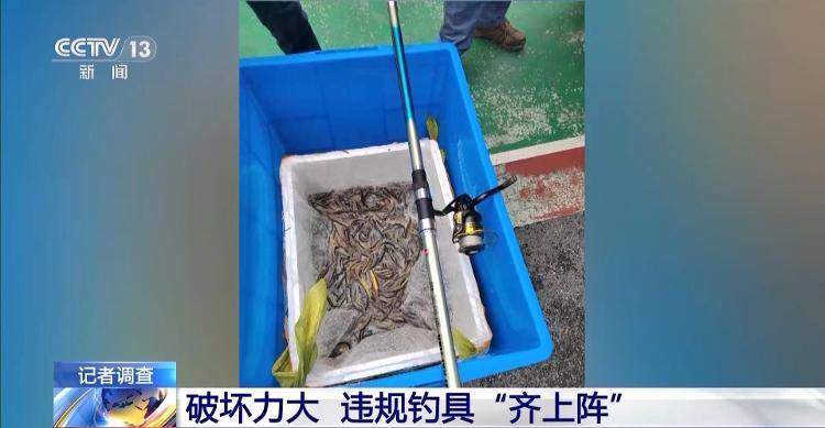 保護區(qū)里的“瘋狂垂釣”屢禁不止！記者調查