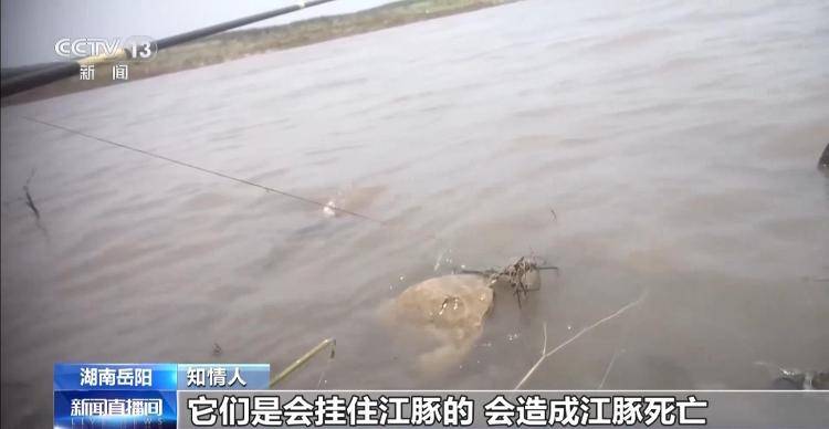 保護區(qū)里的“瘋狂垂釣”屢禁不止！記者調查