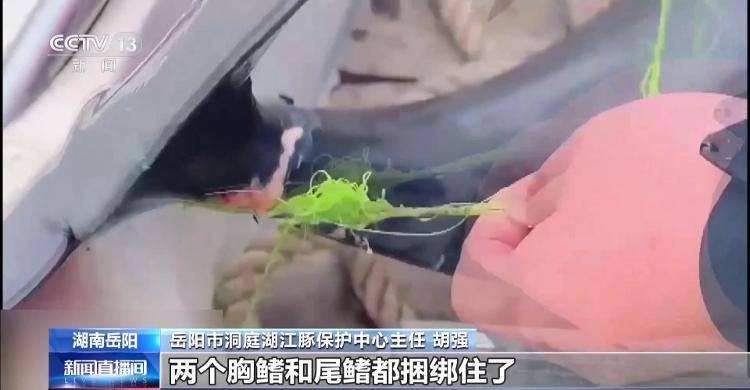 保護區(qū)里的“瘋狂垂釣”屢禁不止！記者調查