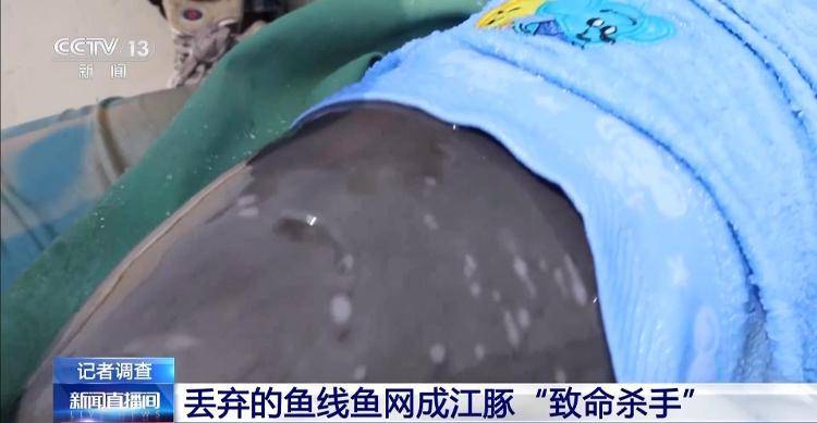 保護區(qū)里的“瘋狂垂釣”屢禁不止！記者調查