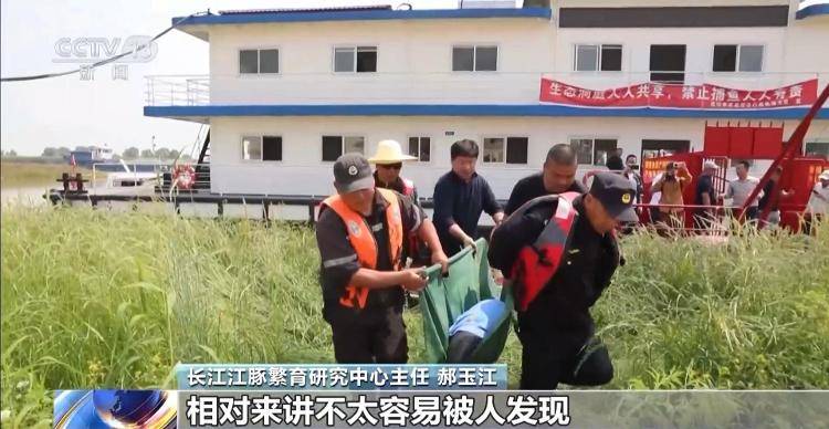 保護區(qū)里的“瘋狂垂釣”屢禁不止！記者調查
