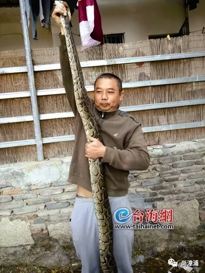 女游客疑被蛇咬傷身亡后，博主“啊寶”講毒蛇1天漲粉190萬(wàn)