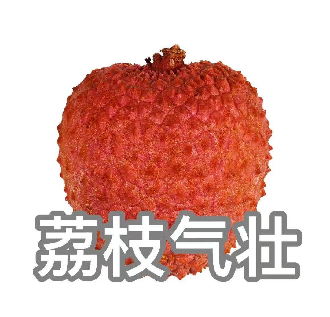 “qí”還是“jì”？“一騎紅塵”怎么讀？網(wǎng)友吵翻了......