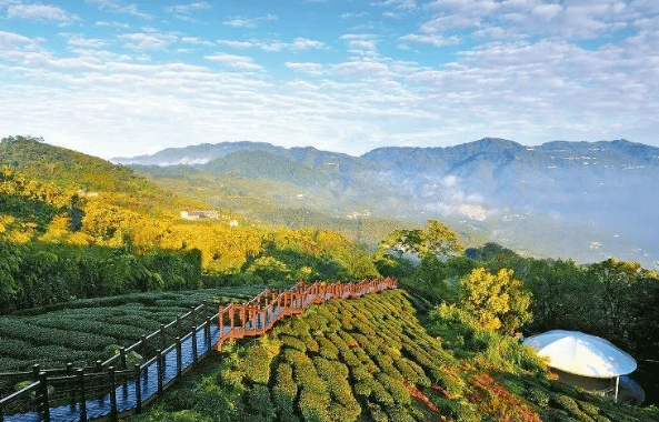 萬(wàn)萬(wàn)沒想到，第一個(gè)配合美國(guó)，禁止華為芯片的，竟然是臺(tái)當(dāng)局