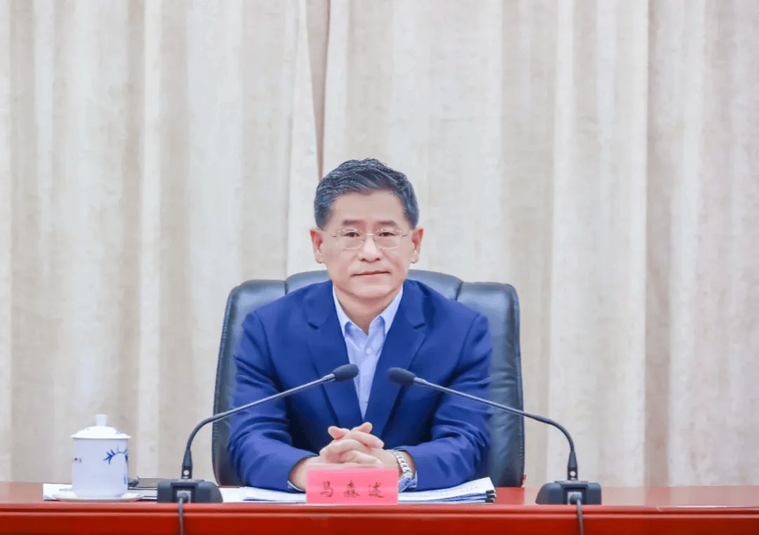 馬森述，任廣東省監(jiān)察委員會副主任，代理省監(jiān)察委員會主任職務(wù)