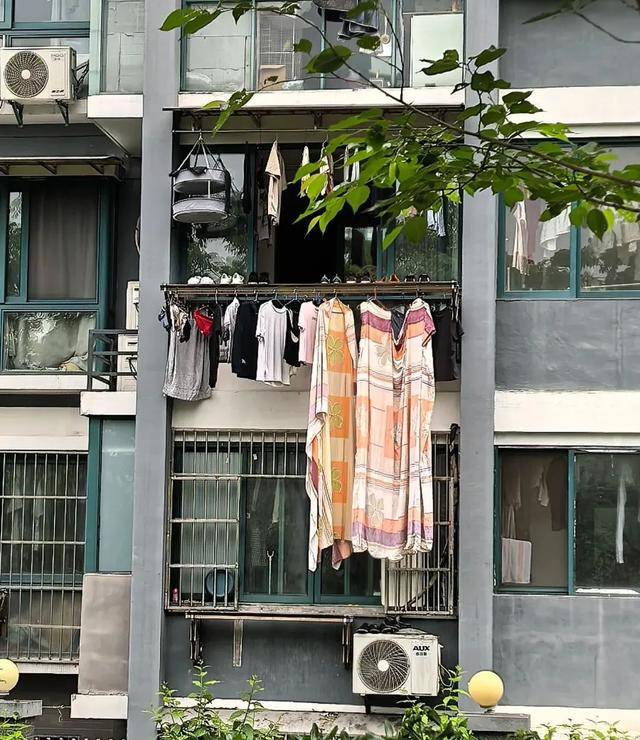 浙江發(fā)現(xiàn)一戶人家“高級(jí)晾衣法”，做法太高明了，你確定不學(xué)起來？