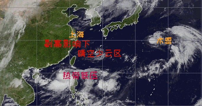 上海高溫何時休？有盼頭了！夏天越來越熱需警惕“情緒中暑”