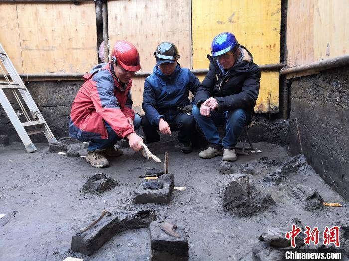 世界級重大考古成果！中國發(fā)現(xiàn)30萬年前東亞最早木器