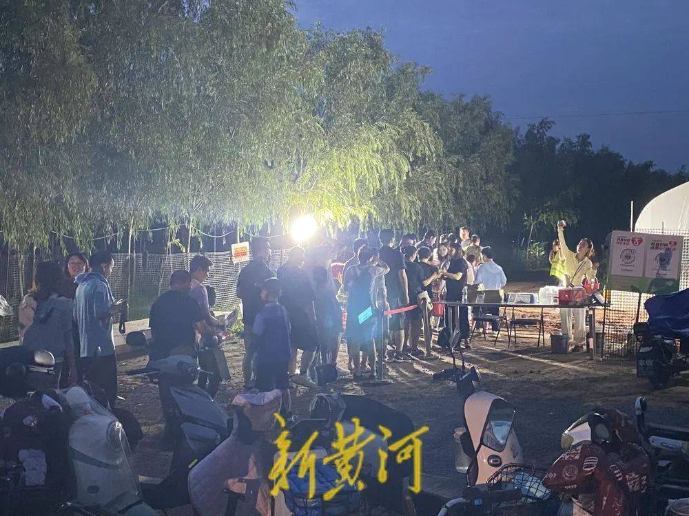 濟南這片樹林，一晚捉了20000只金蟬