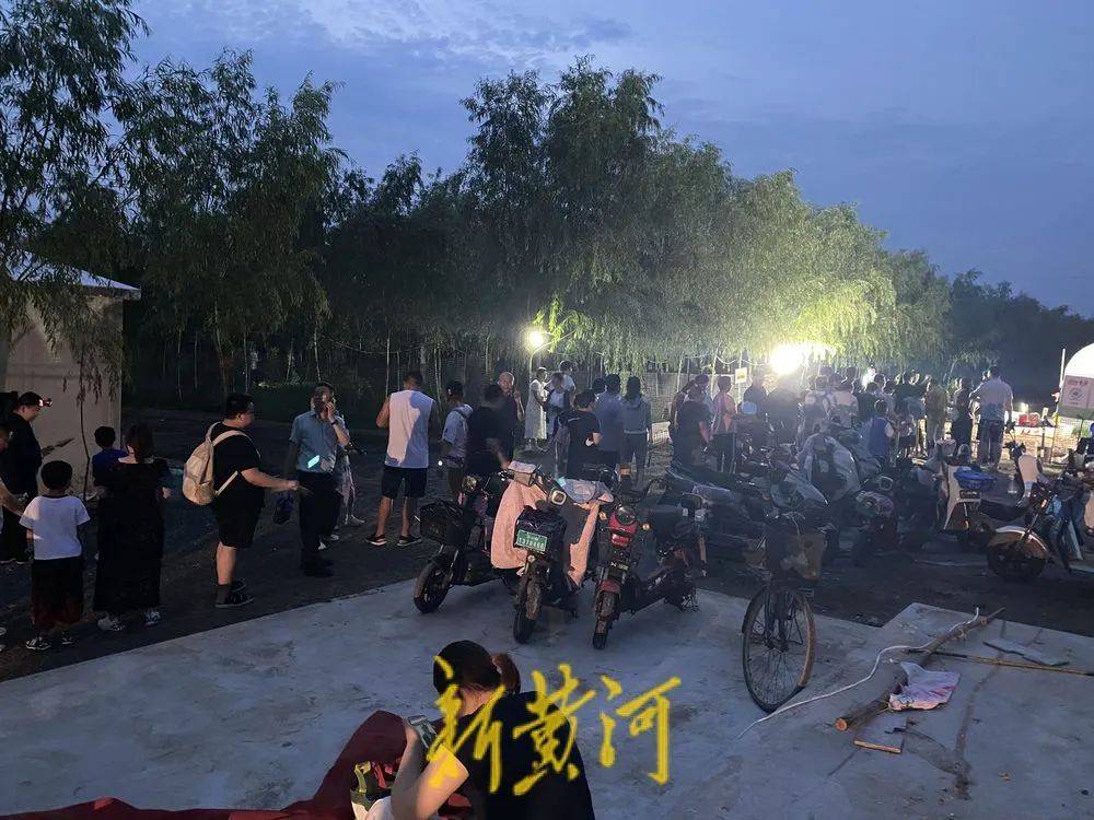 濟南這片樹林，一晚捉了20000只金蟬