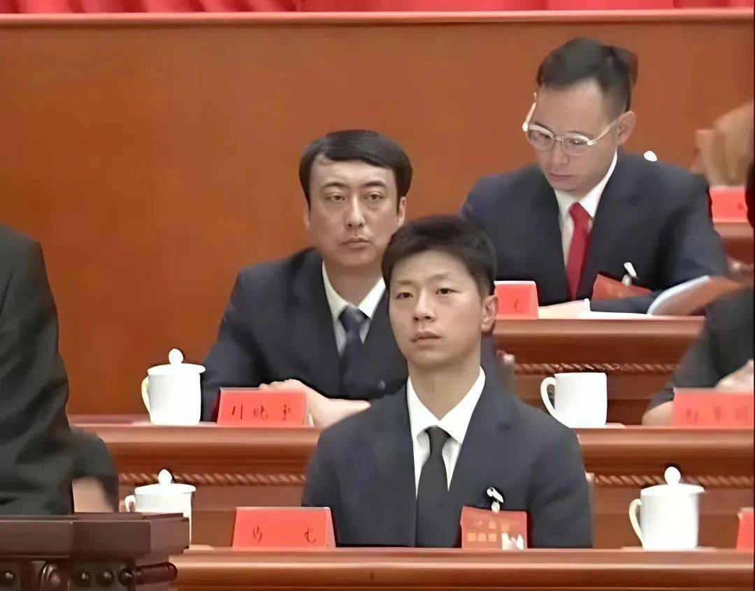 馬龍當(dāng)選全國青聯(lián)副主席