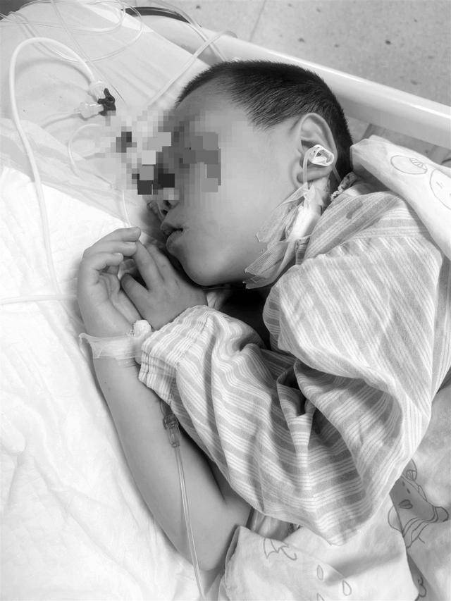 湖南一家6口誤食毒蘑菇，5歲男童不幸去世