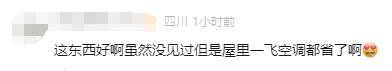 有人家中出現(xiàn)“巨型蟑螂”？網友：房子給它了