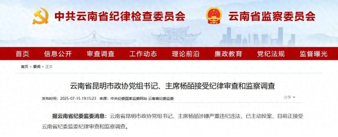曾任昆明市副市長的她，主動(dòng)投案