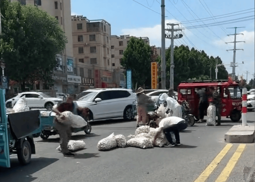 多人哄搶掉地大蒜，遭人呵斥也無(wú)濟(jì)于事……市民：不應(yīng)占這種小便宜