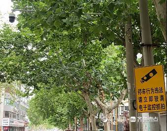 濟(jì)南槐蔭區(qū)建邦大廈門口車輛亂停占道，交警：已安裝交通隔離設(shè)施