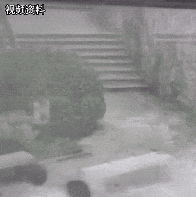 僅40秒！兩人不幸身亡