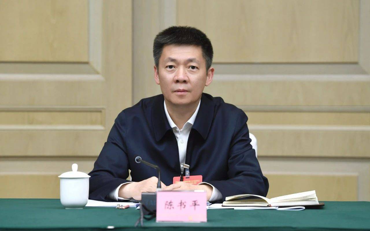 陳書(shū)平任四川省副省長(zhǎng)