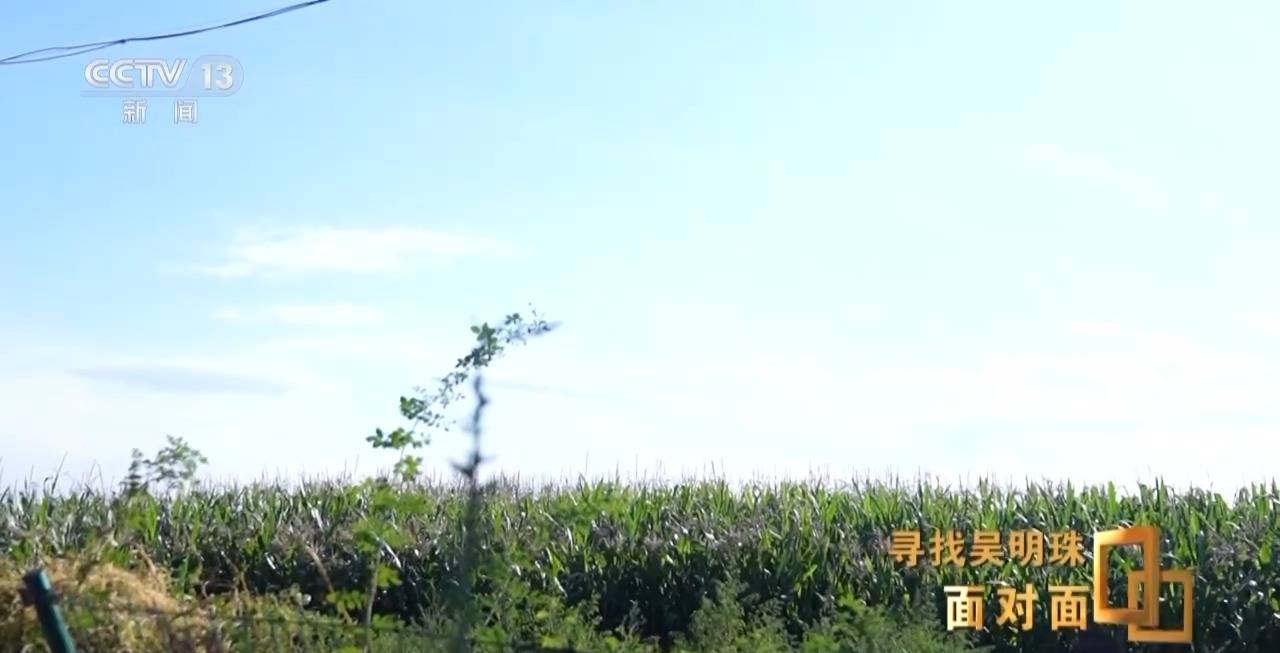 面對面丨中國人的吃瓜自由要感謝她！吳明珠說她的一生就是結(jié)幾個好瓜獻給人民