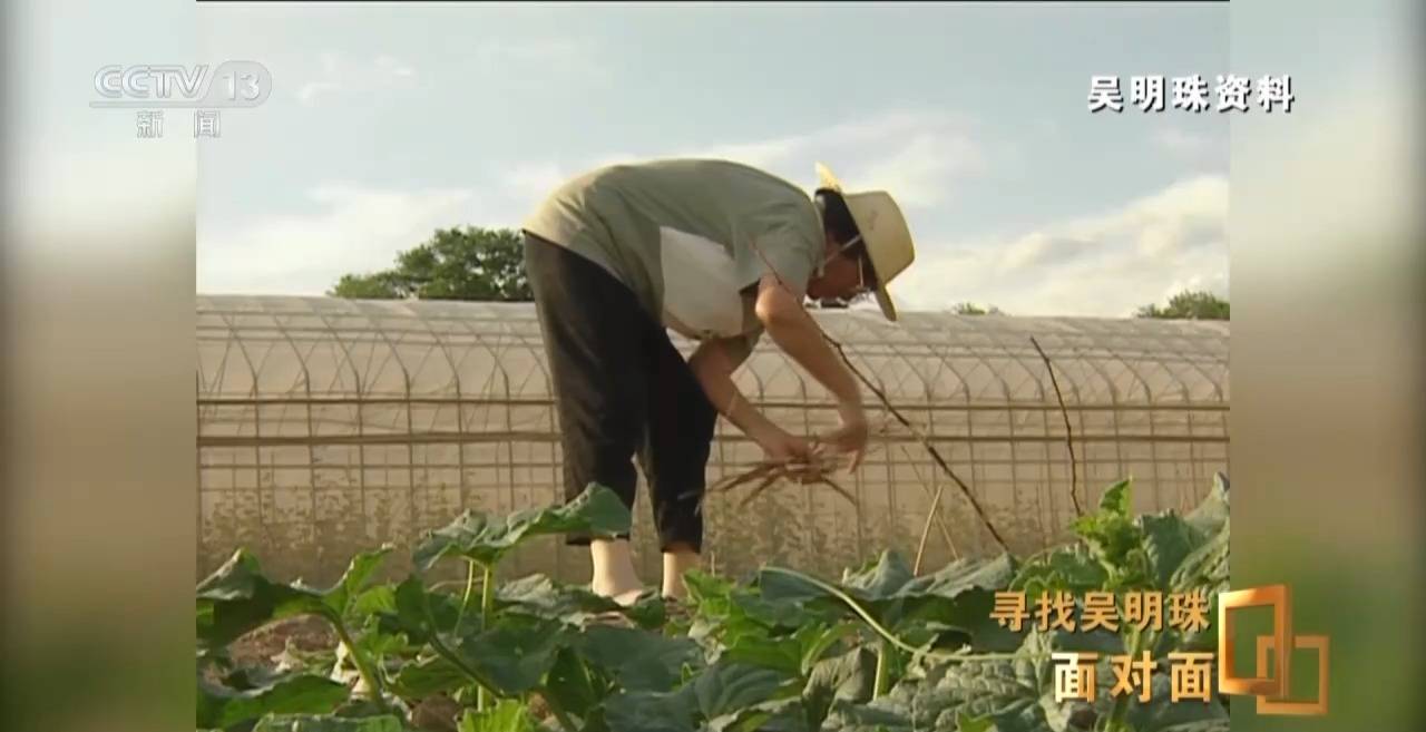 面對面丨中國人的吃瓜自由要感謝她！吳明珠說她的一生就是結(jié)幾個好瓜獻給人民