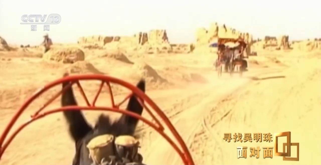 面對面丨中國人的吃瓜自由要感謝她！吳明珠說她的一生就是結(jié)幾個好瓜獻給人民