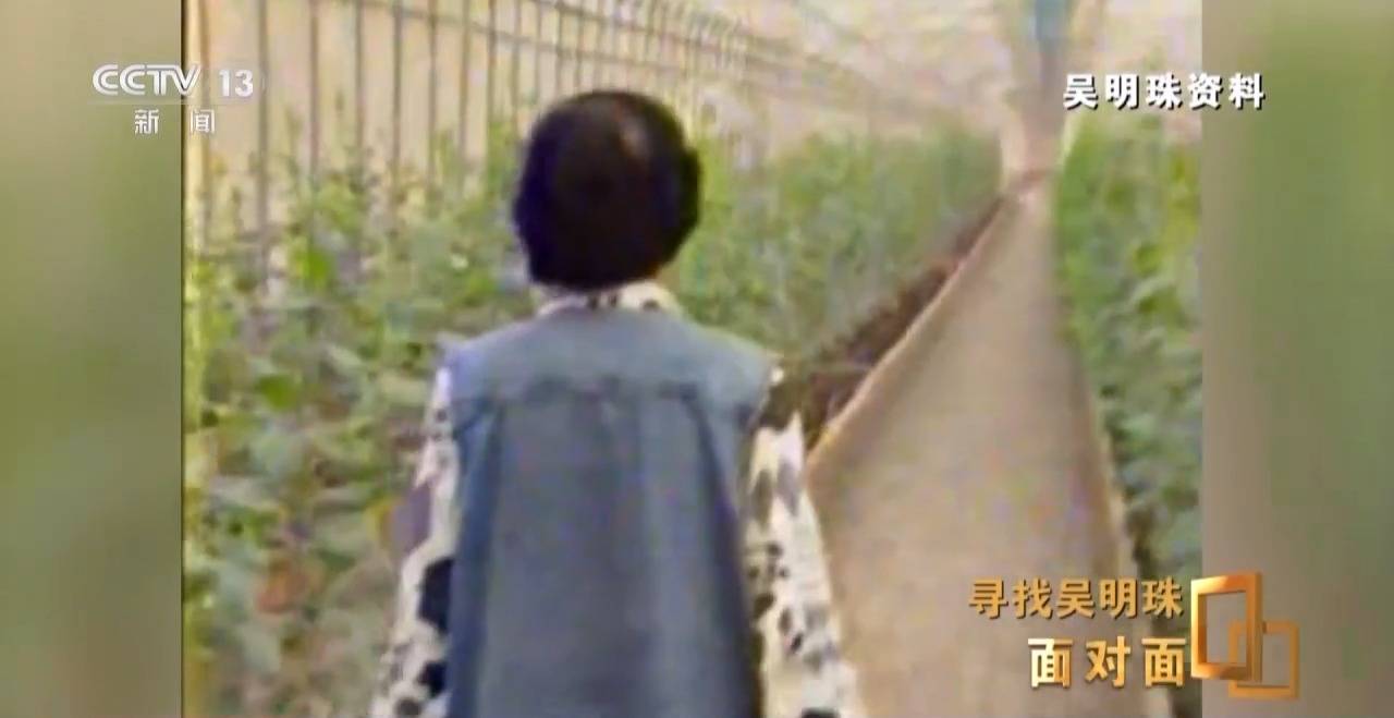 面對面丨中國人的吃瓜自由要感謝她！吳明珠說她的一生就是結(jié)幾個好瓜獻給人民